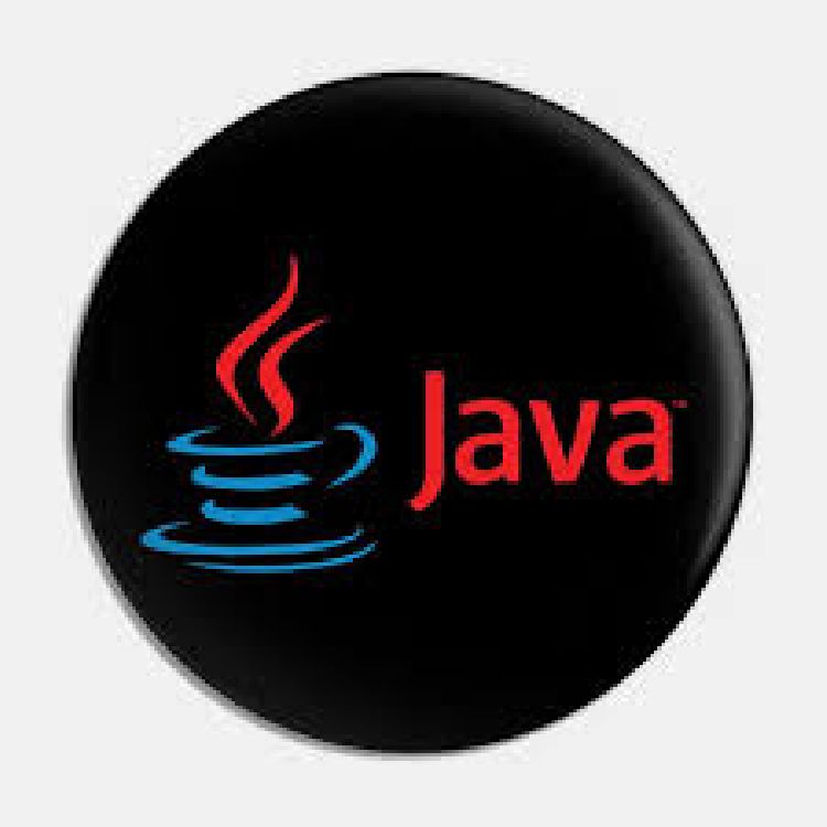 JAVA